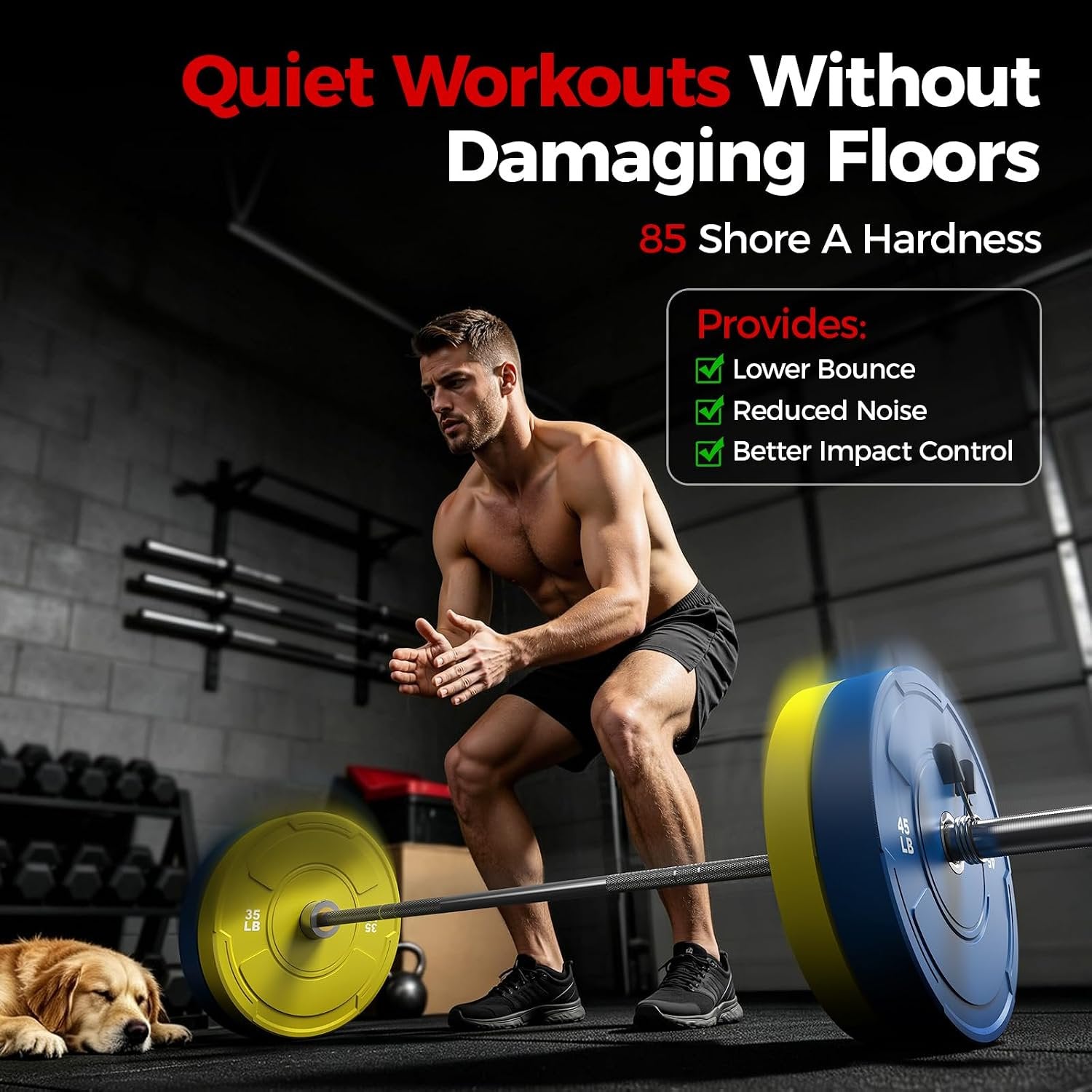 2-Inch Olympic Bumper Plates Set, 10Pcs(each pair 10,15,25,35,45 lb) Colored Virgin Rubber Weight Barbell Plates for Strength Training, Home Gym Weightlifting